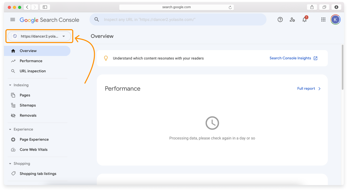 Using-Google-Search-Console-7.png