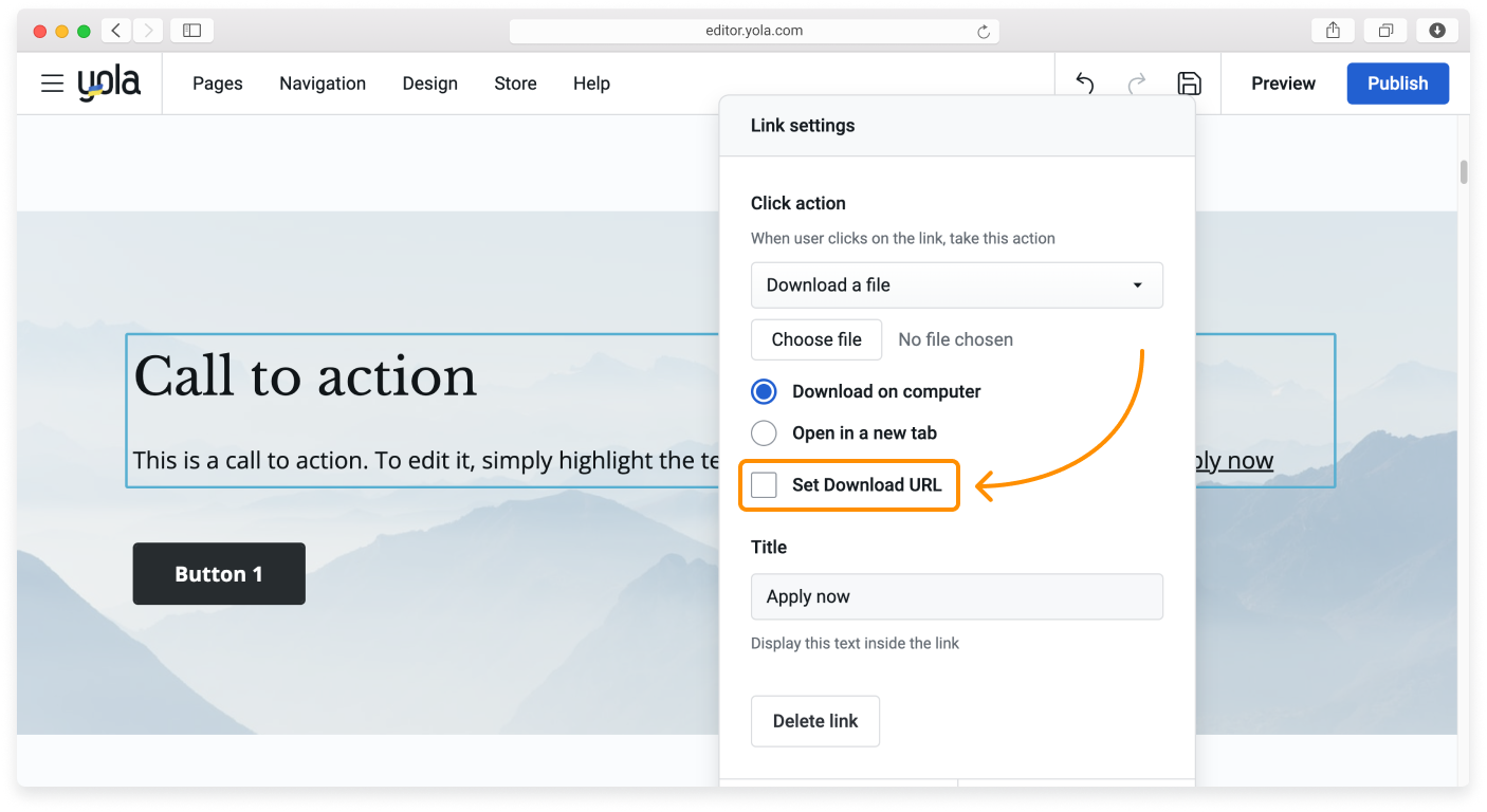 B2C - Custom URL - 1.png