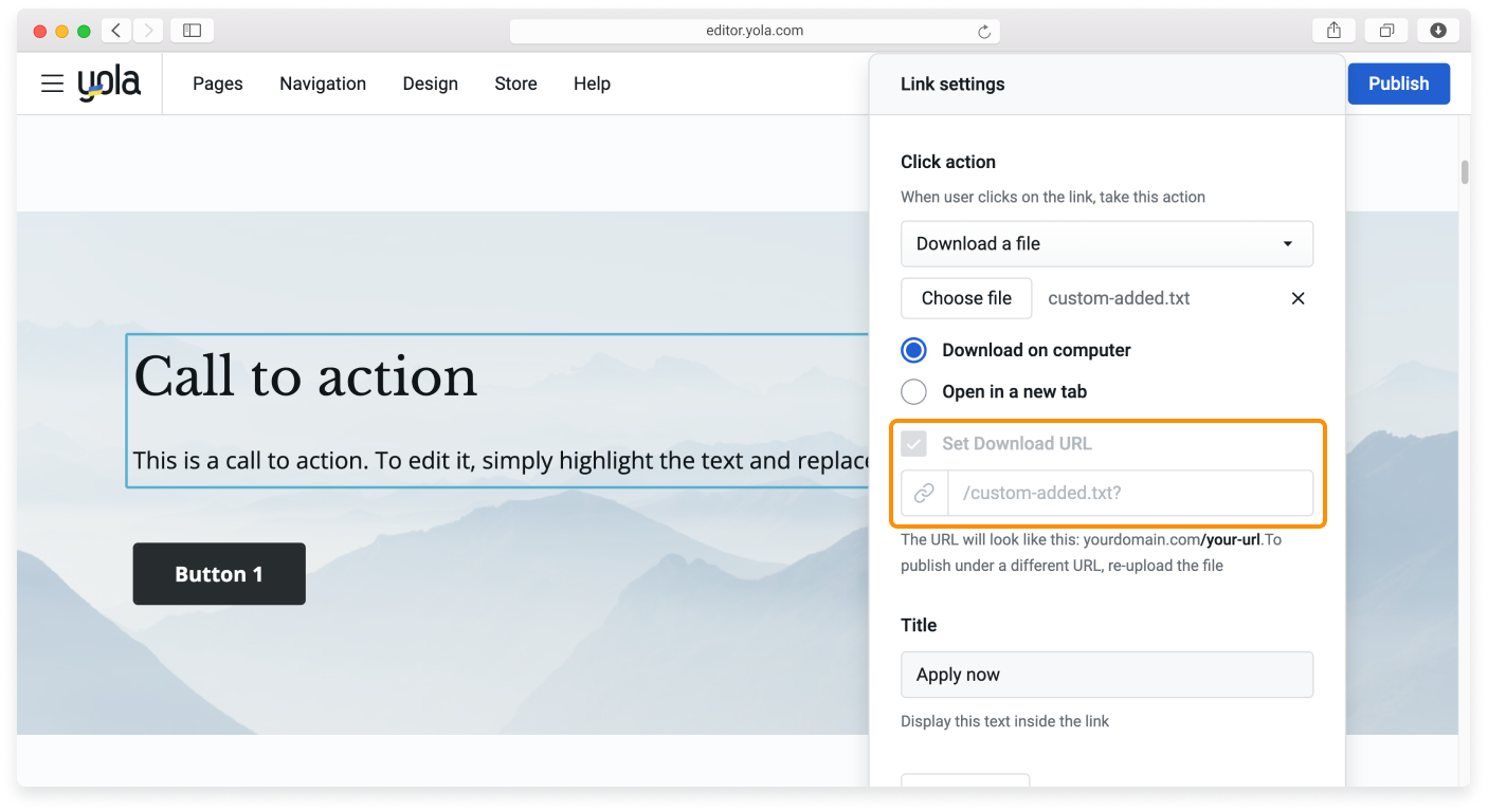 B2C - Custom URL - 3.png