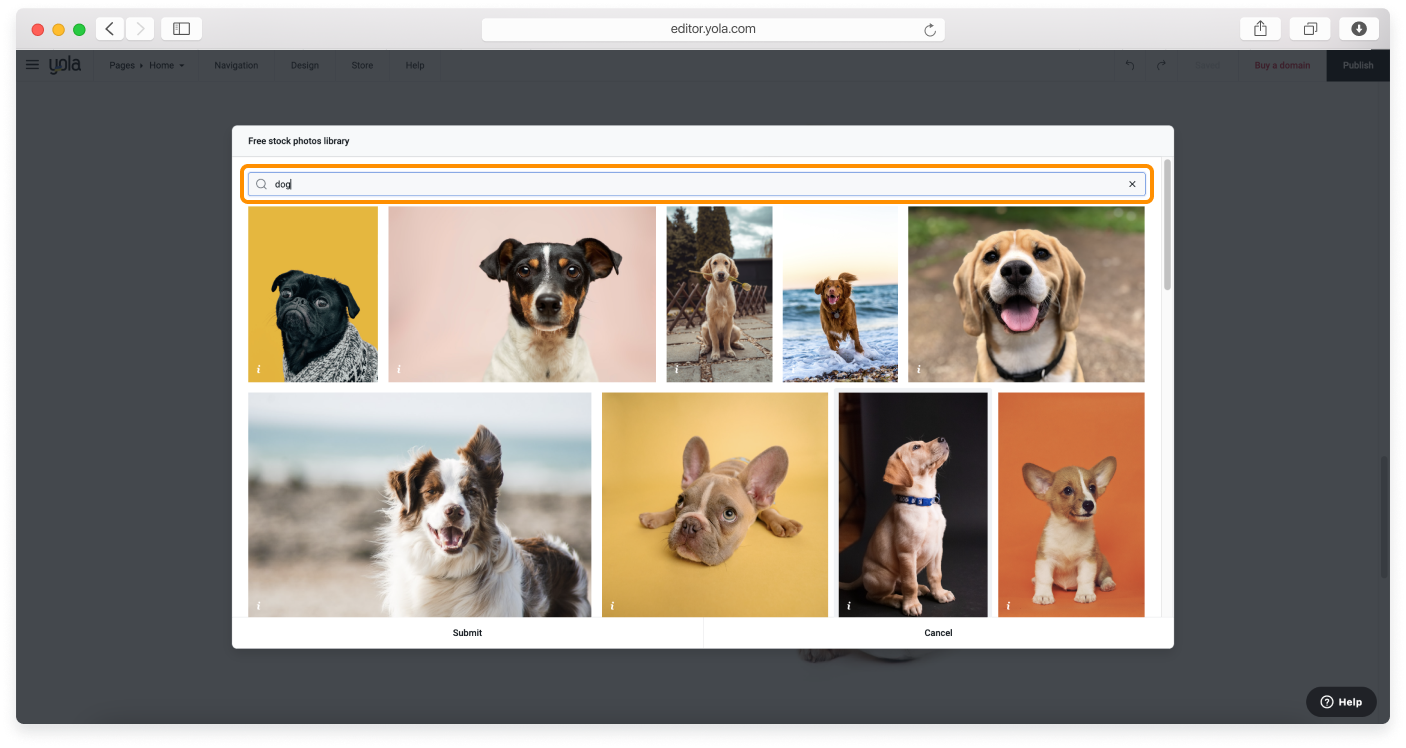 adding-images-5.png