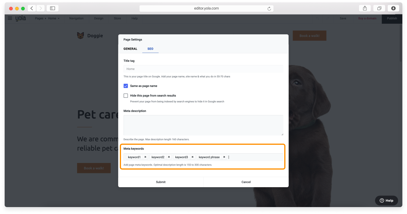 Page-Seo-7.png
