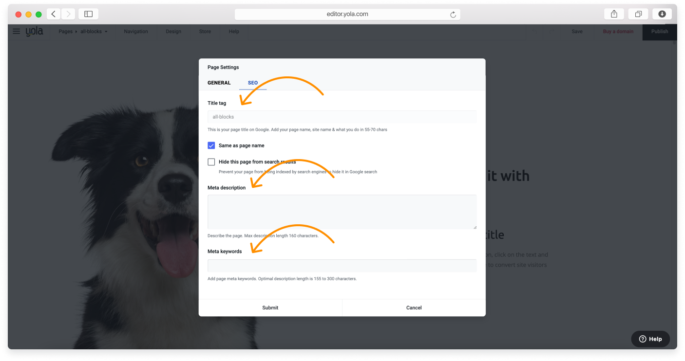 Page-Seo-3.png